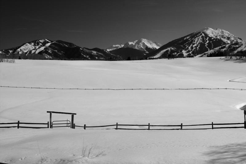 AspenMeadow_1_2008.jpg