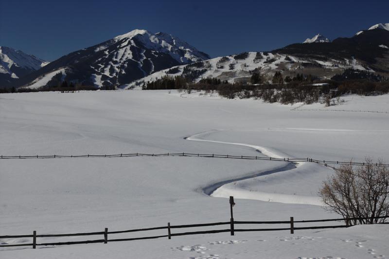 AspenMeadow_2_2008.jpg