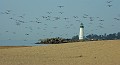 LighthouseAndCompanions